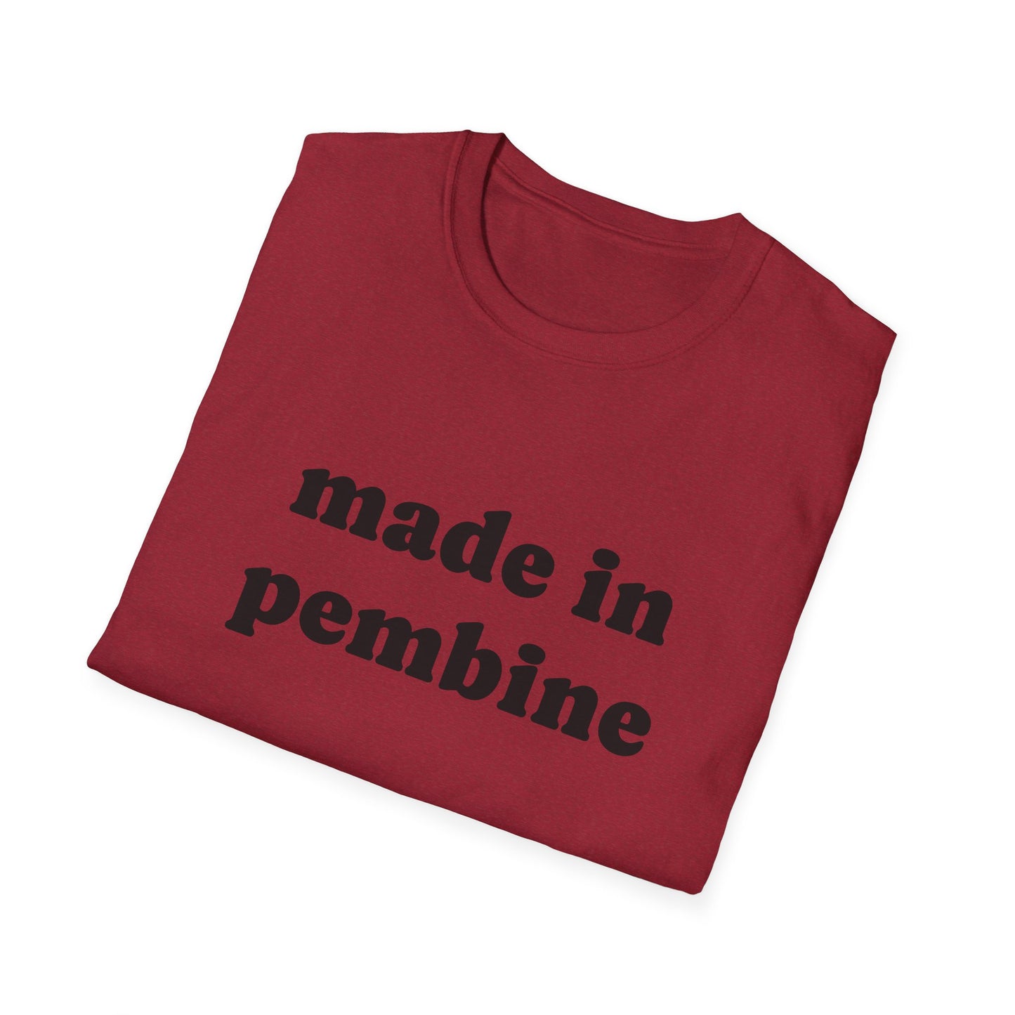 "Made in Pembine" Unisex Softstyle T-Shirt - Casual Comfort for Every Occasion