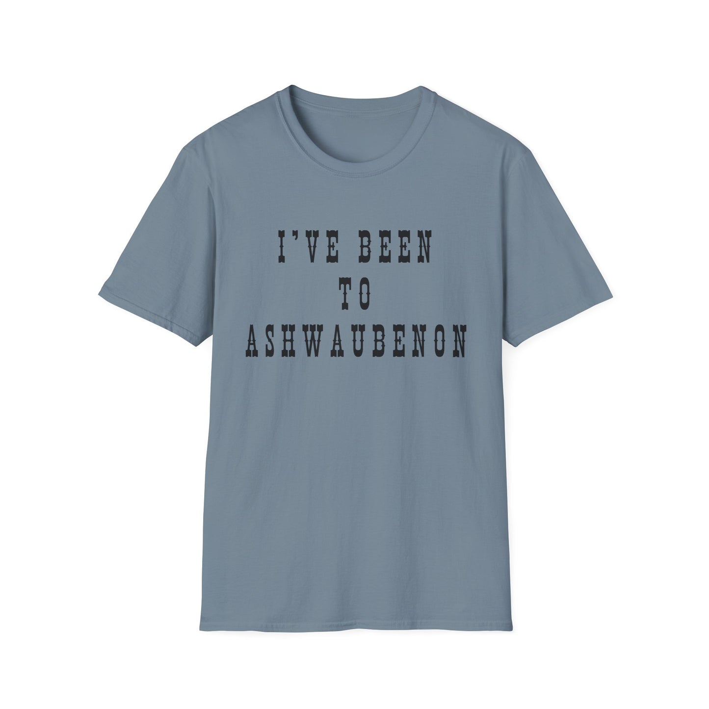 I've Been to Ashwaubenon - Unisex Softstyle T-Shirt - Casual Travel Tee