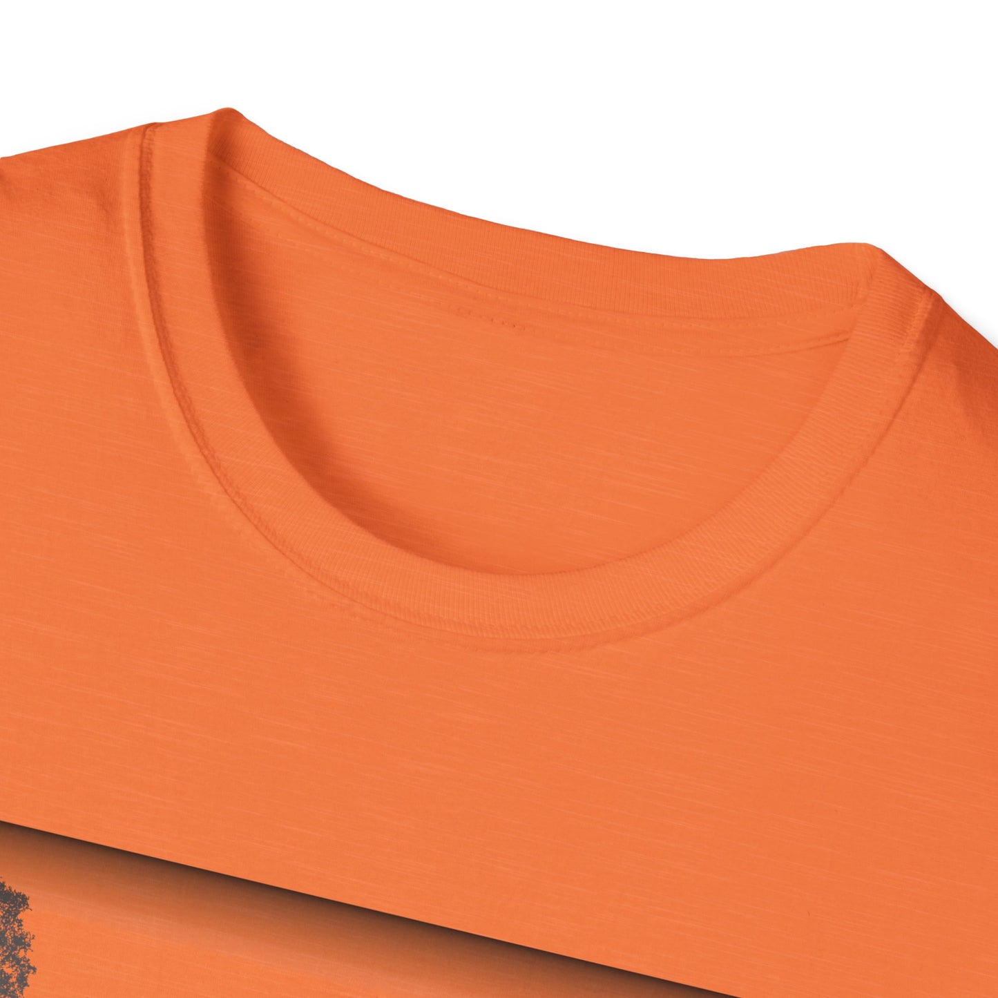 Kelly Lake Sun Scene - Unisex Softstyle T-Shirt - Casual Comfort for Every Occasion