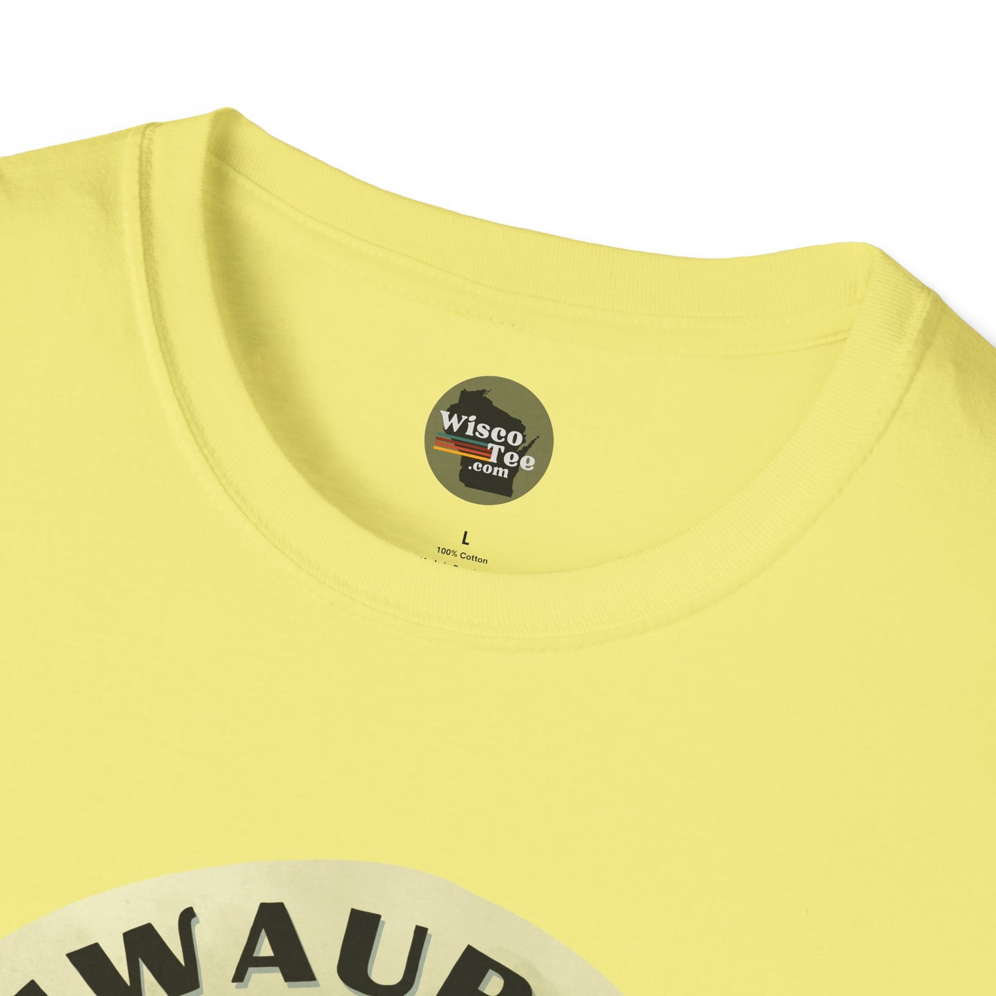 "ASHWAUBENON ROCKS" Unisex Softstyle T-Shirt - Casual Comfort for Every Occasion