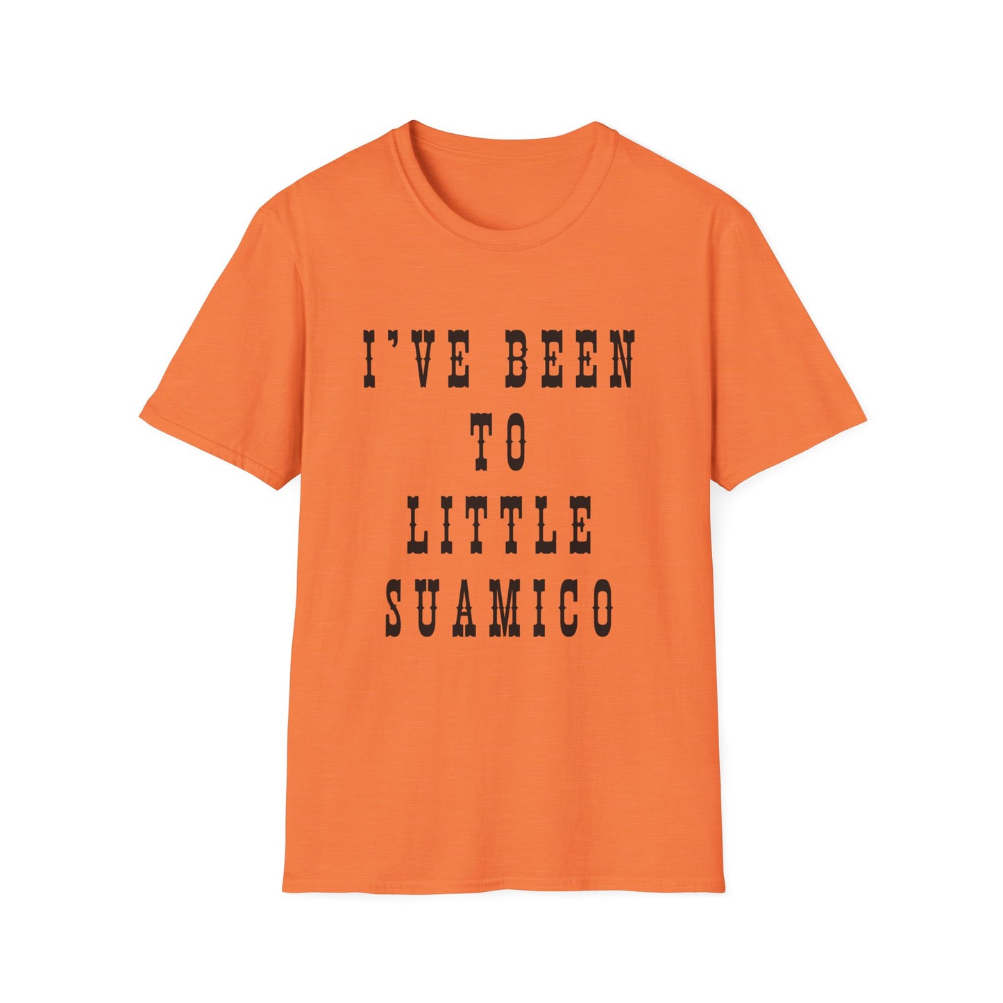 I've Been to Little Suamico - Unisex Softstyle T-Shirt - Casual Travel Tee
