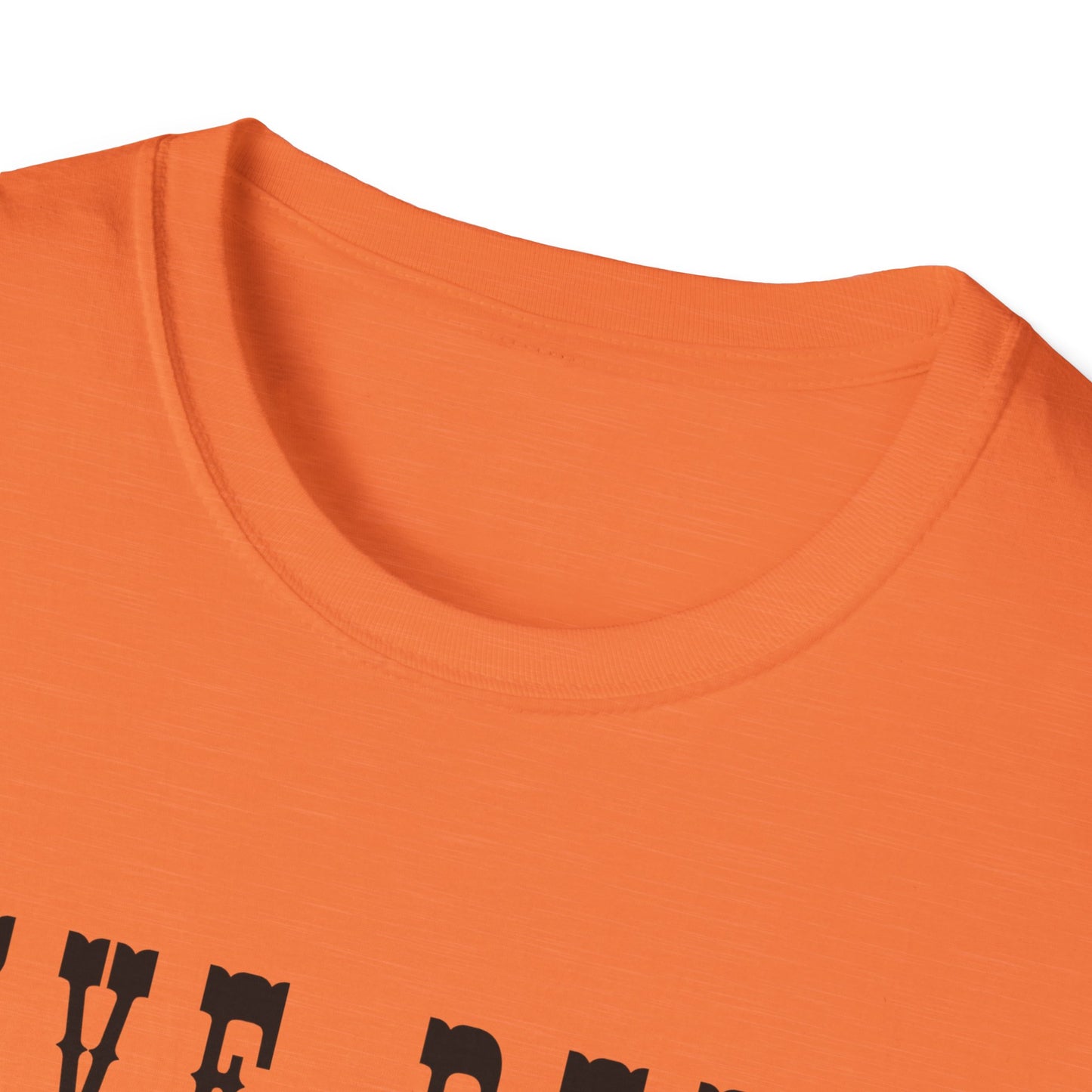 I've Been to Kelly Lake - Unisex Softstyle T-Shirt - Casual Travel Tee